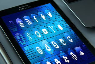 九游电脑版-体育社交App用户行为路径与交互机制研究，体育用户特点