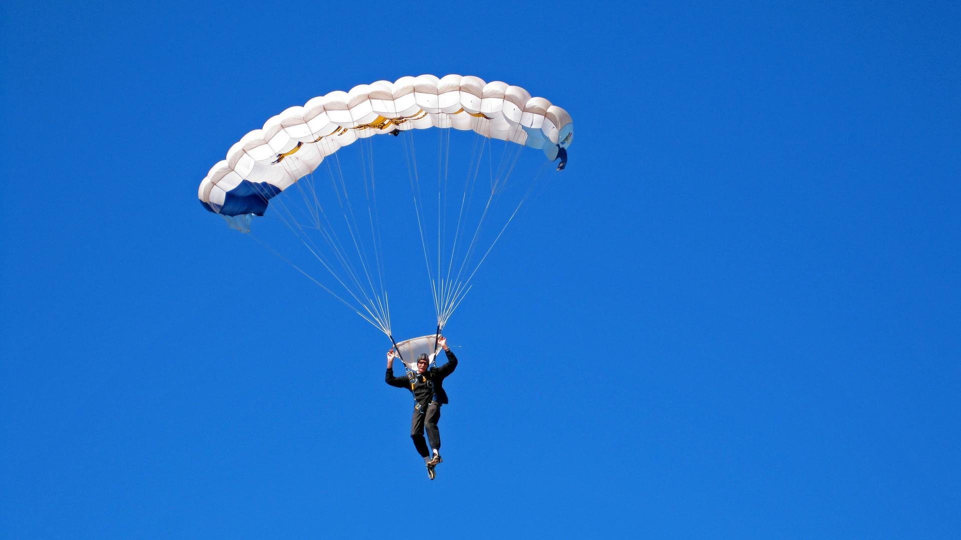 跳水实力延续历届水准稳定输出，跳水历史记录